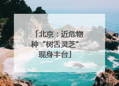 北京：近危物种“树舌灵芝”现身丰台